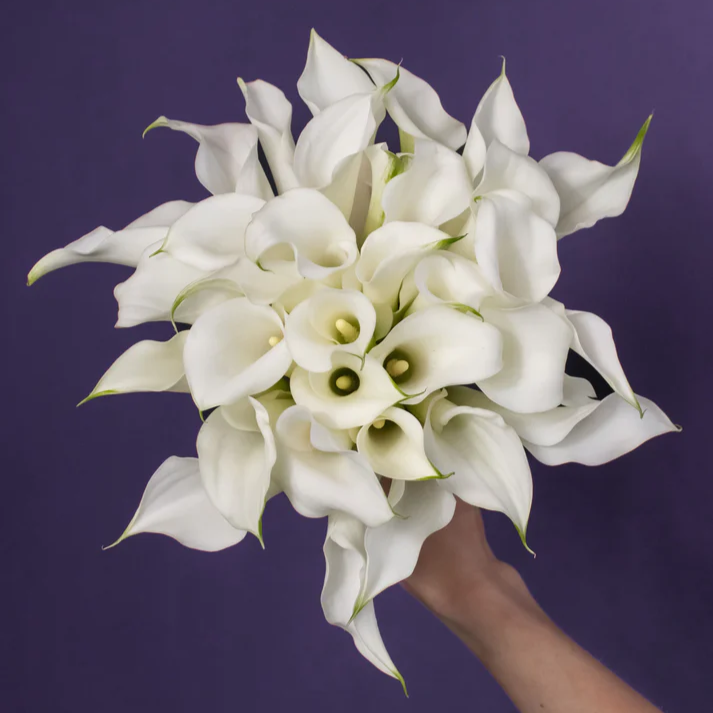 Minimalist Chic Bridal Arrangement